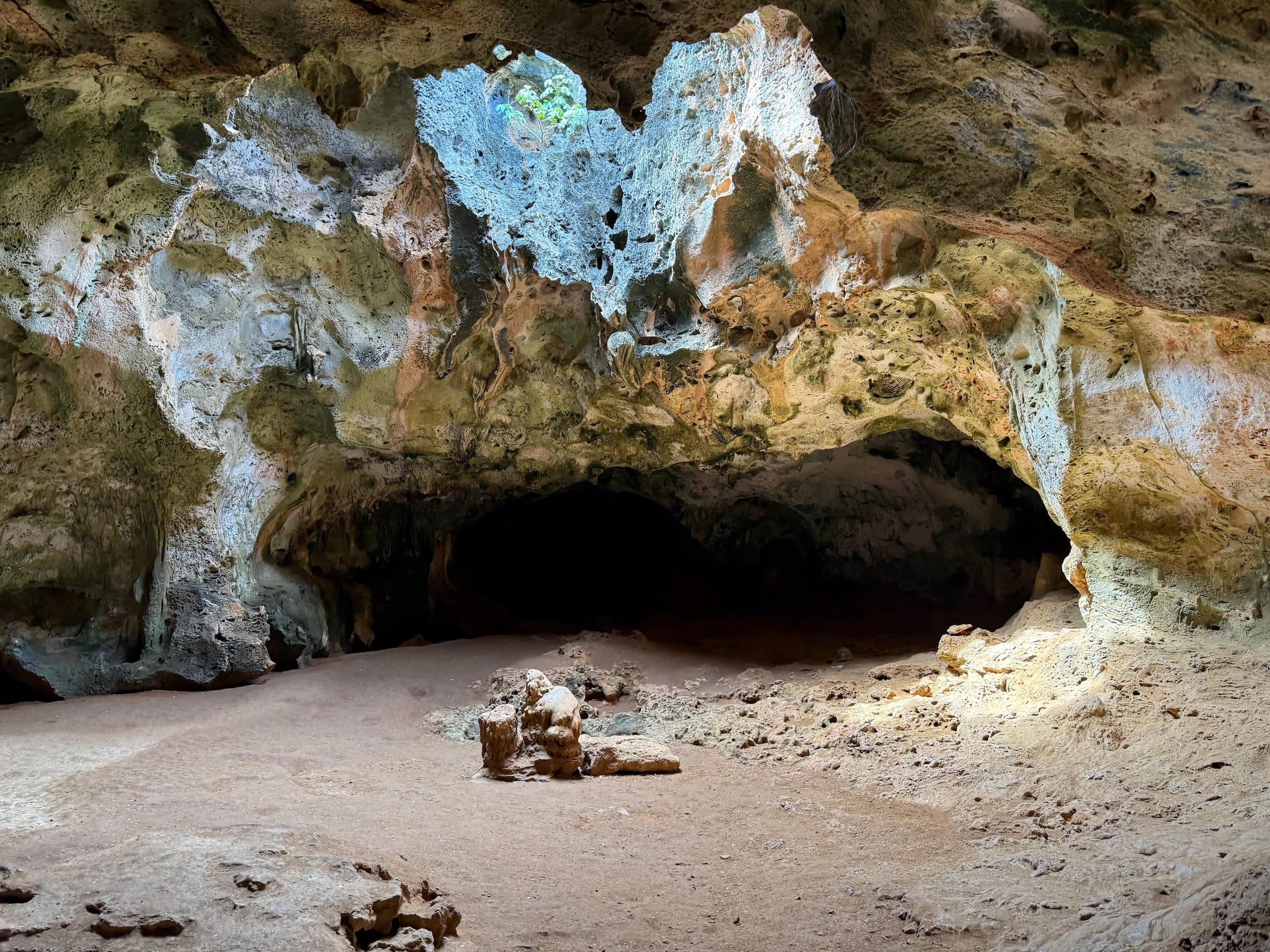 Tour Parque Nacional Arikok